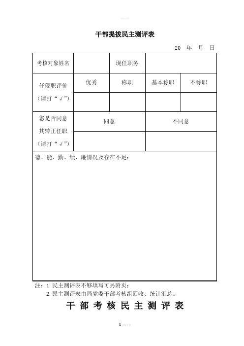 干部提拔民主测评表