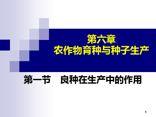 第六章作物育种与良种繁育PPT课件