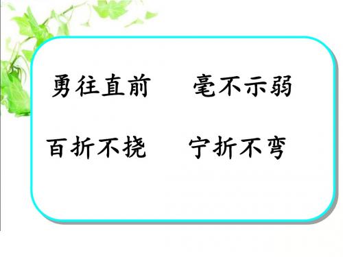 17、《山谷中的谜底》