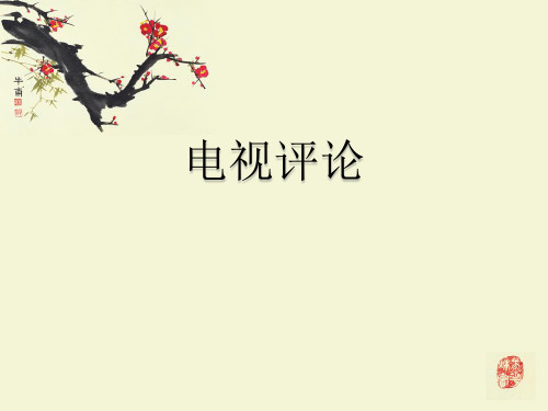 电视栏目评论编导艺考PPT课件