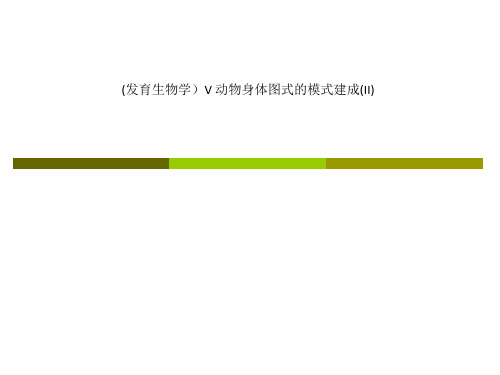 (发育生物学)V 动物身体图式的模式建成(II)