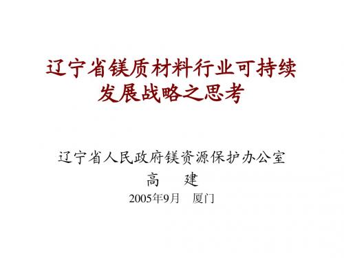 高健镁质材料发展战略思考