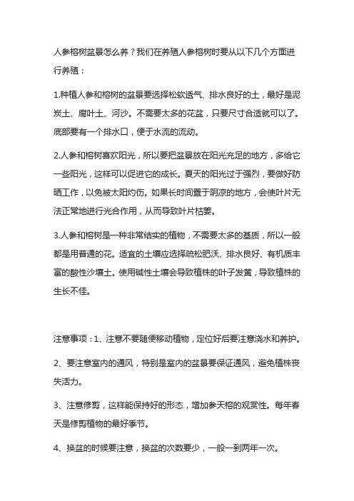 人参榕树盆景怎么养