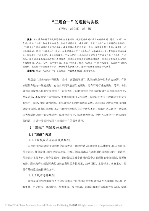 _三规合一_的理论与实践_王天伟