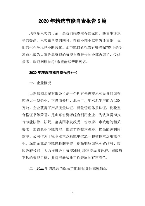 2020年精选节能自查报告5篇.doc