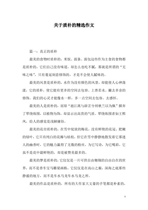 关于质朴的精选作文