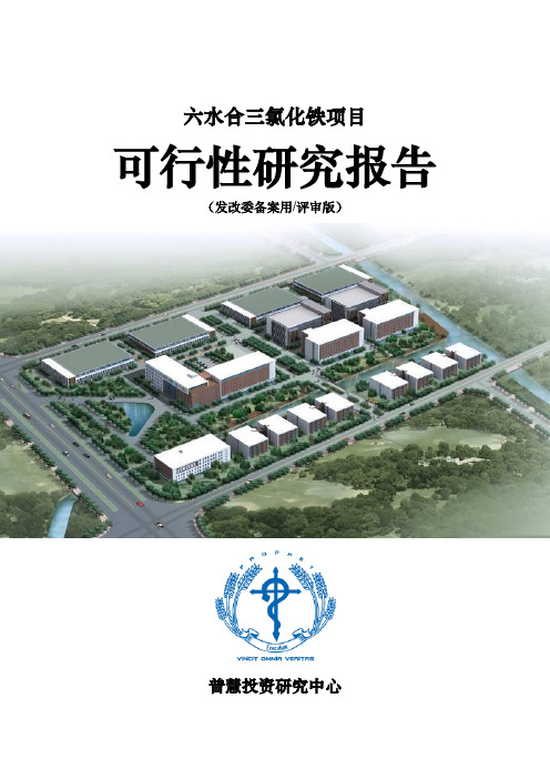 六水合三氯化铁项目可行性研究报告发改委备案用(评审版)