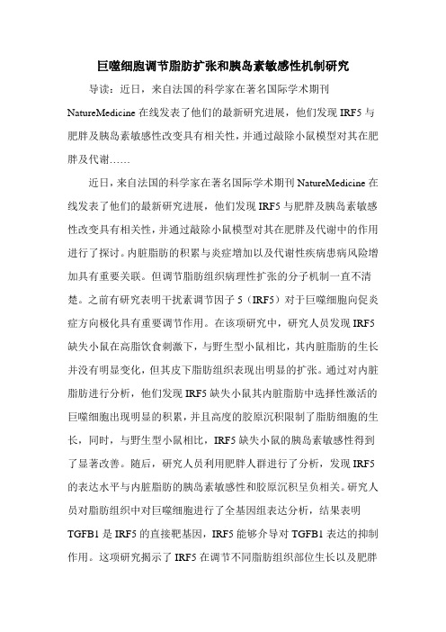 巨噬细胞调节脂肪扩张和胰岛素敏感性机制研究