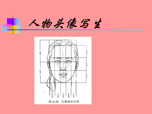 三、人物头像写生的方法步骤构图观察构图(精)