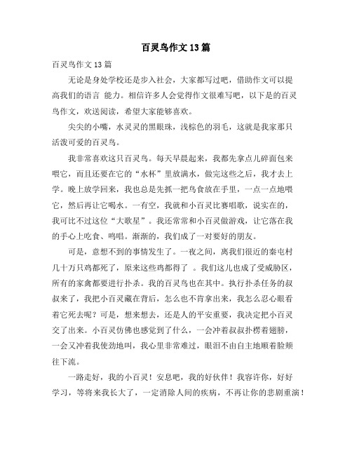 百灵鸟作文13篇
