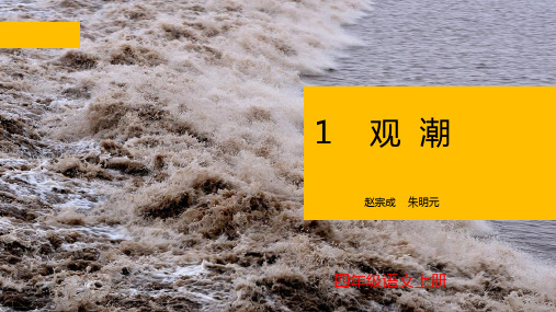 人教(部编版)观潮优秀课件1