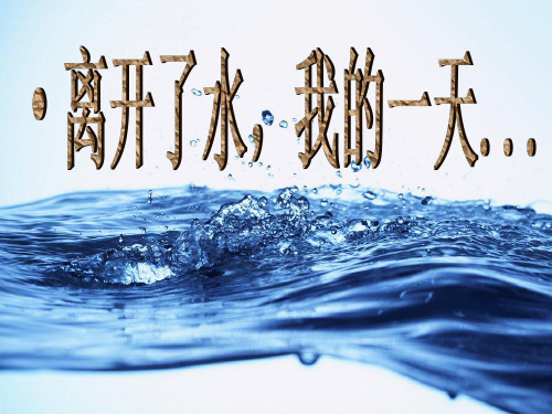 鲁教版高中地理必修一第二单元第3节《水圈与水循环》优质课件(共21张PPT)