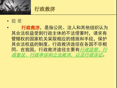行政救济概述