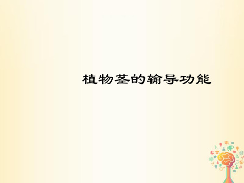七年级生物上册3.5.4植物茎的输导功能课件(新版)苏教版