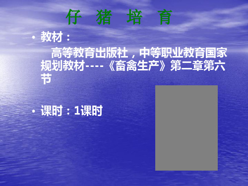仔猪培育课件