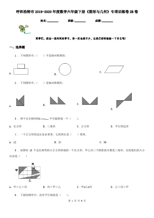 呼和浩特市2019-2020年度数学六年级下册《图形与几何》专项训练卷2B卷