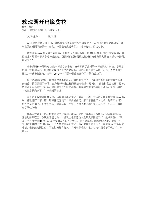 玫瑰园开出脱贫花