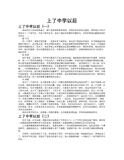 上了中学以后作文共九篇