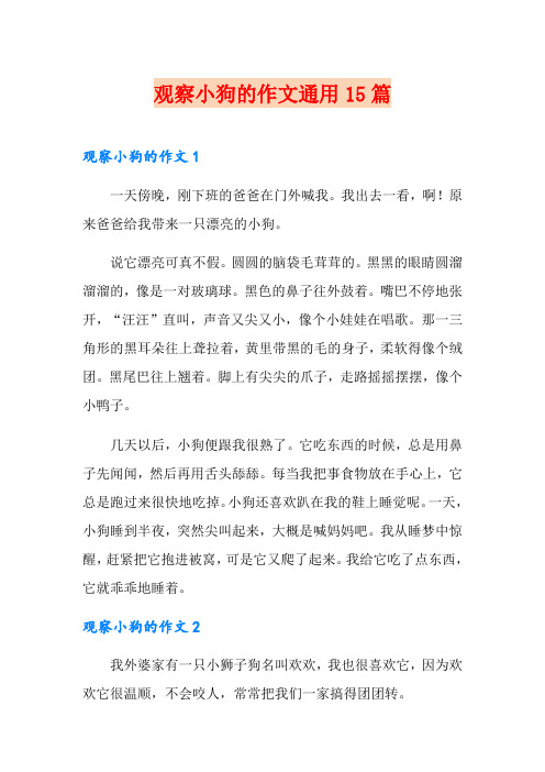 观察小狗的作文通用15篇