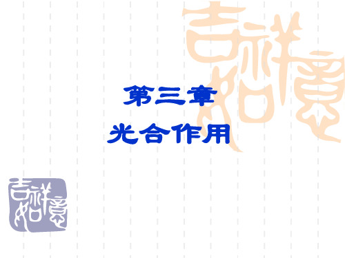第三章 光合作用ppt课件