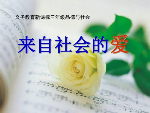 1.3《来自社会的爱》ppt课件