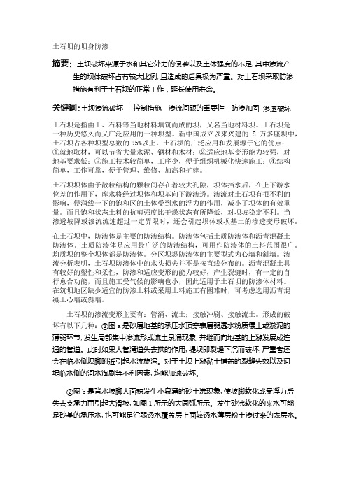土石坝的坝身防渗