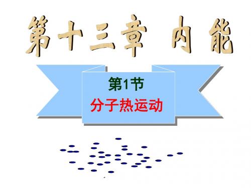 新人教版九年级物理第十三章第1节《分子热运动》ppt课件