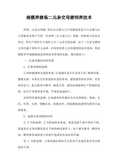 规模养猪场二元杂交母猪饲养技术
