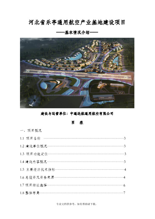 乐亭通用机场建设方案(简单)