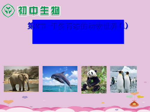 苏教版初中生物八上5. 14.2千姿百态的动物世界 课件 (共15张PPT)