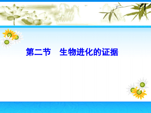 生物进化的证据PPT课件1 济南版