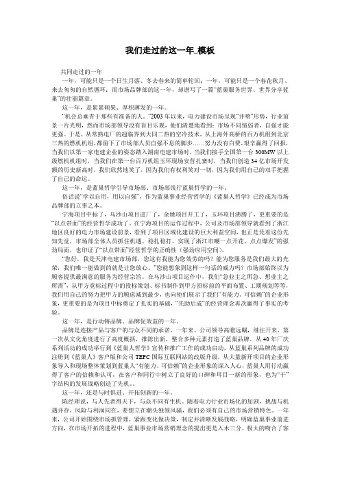 我们走过的这一年_模板