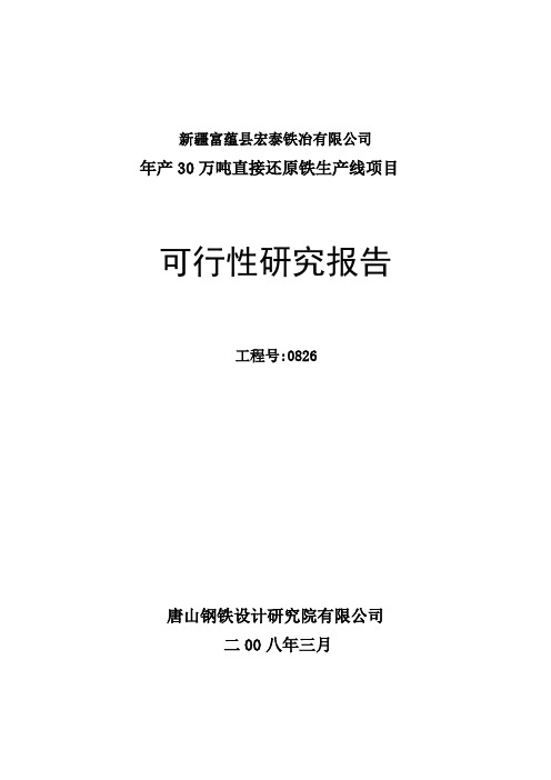 年产30万吨直接还原铁生产线项目可研报告