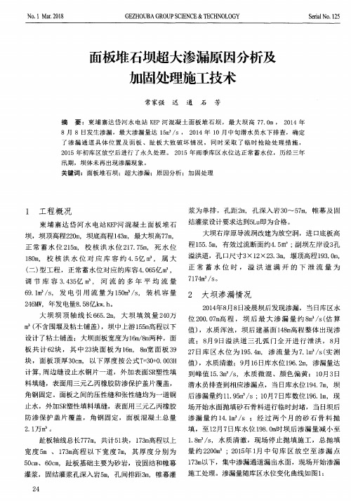 面板堆石坝超大渗漏原因分析及加固处理施工技术