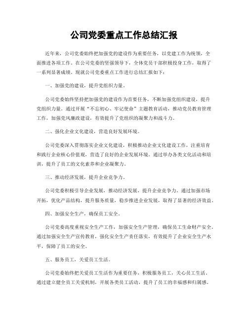 公司党委重点工作总结汇报