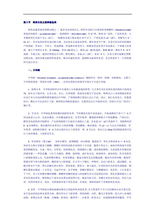 鲟形目主要养殖鱼