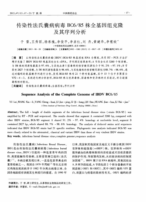 传染性法氏囊病病毒BC6／85株全基因组克隆及其序列分析