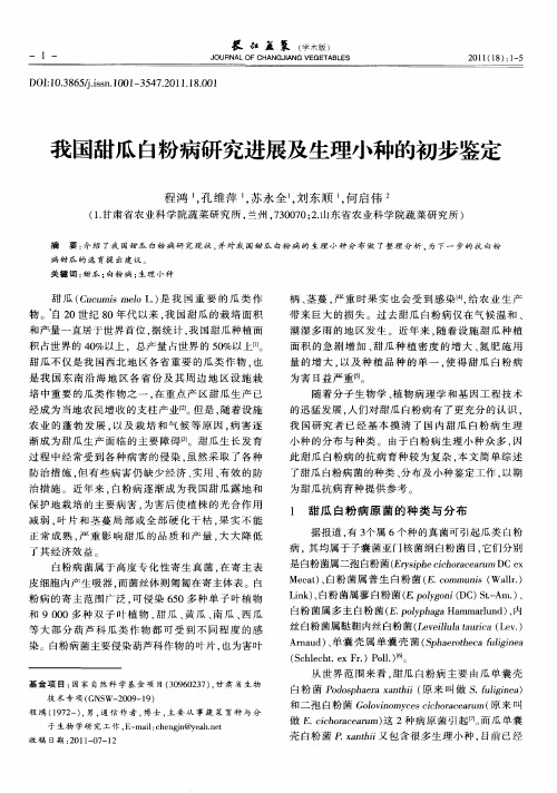 我国甜瓜白粉病研究进展及生理小种的初步鉴定
