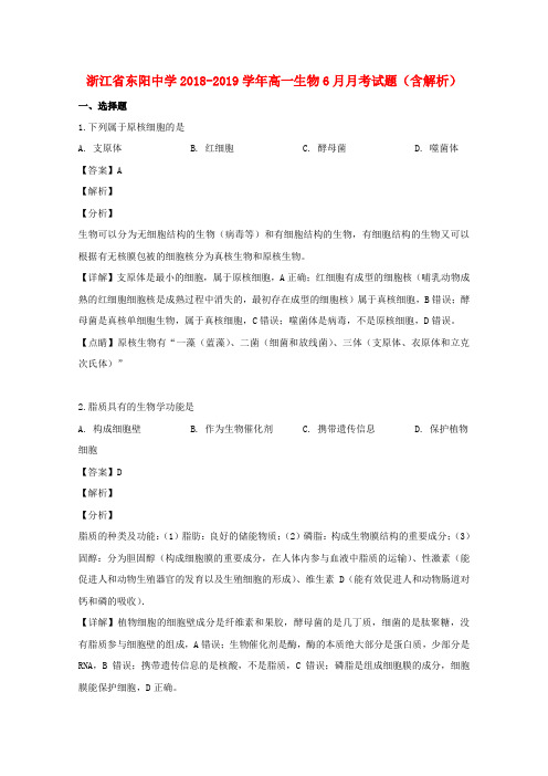 浙江省东阳中学2018_2019学年高一生物6月月考试题(含解析)
