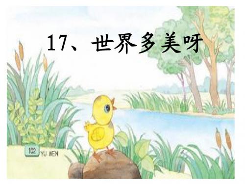 16   世界多美呀 第一课时