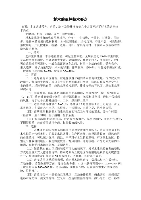 杉木的造林技术要点