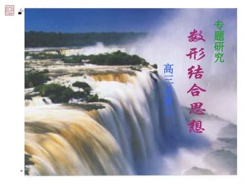 高三数学专题复习 数形结合思想课件