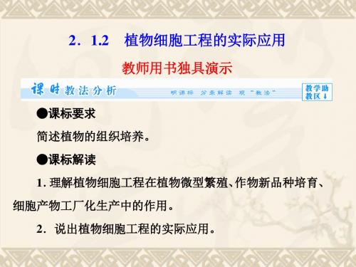高中生物专题 2.1.2 植物细胞工程的实际应用课件 新人教版选修3