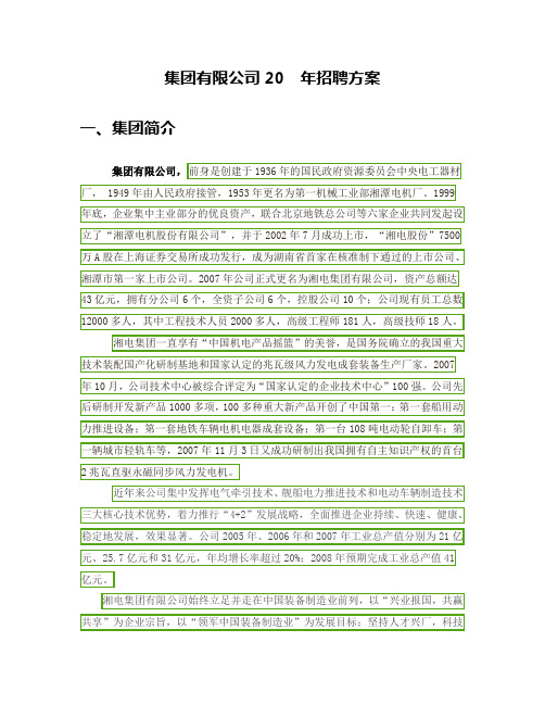 集团有限公司招聘方案范例(WORD7页)