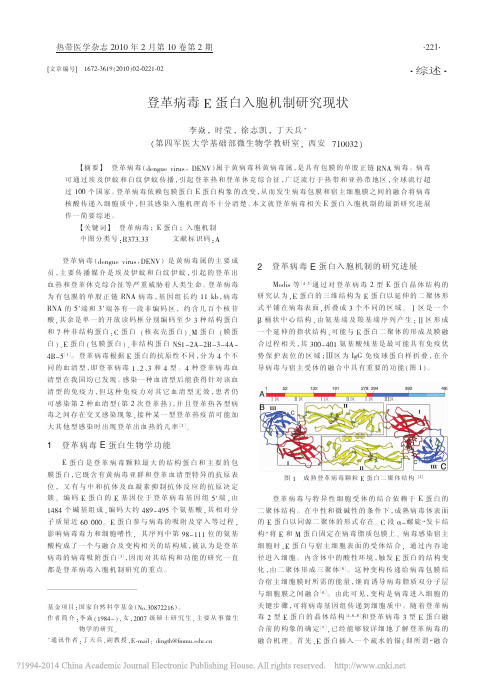 登革病毒E蛋白入胞机制研究现状