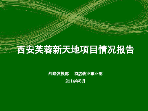 西安芙蓉新天地项目分析报告