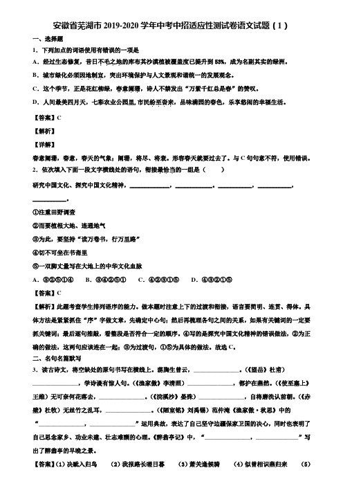 安徽省芜湖市2019-2020学年中考中招适应性测试卷语文试题(1)含解析