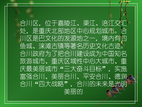 重庆合川PPT介绍