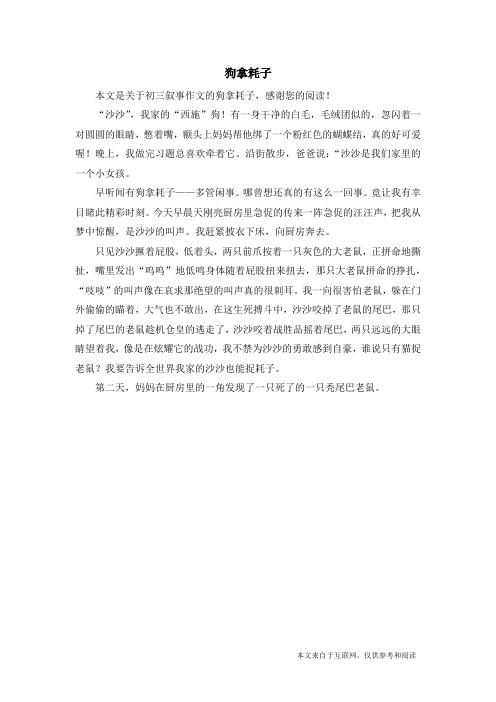狗拿耗子_初三叙事作文