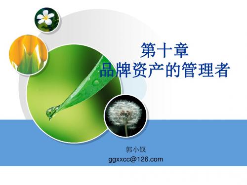 《品牌管理》第十讲 品牌资产的管理者